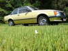 OpelCommodore06