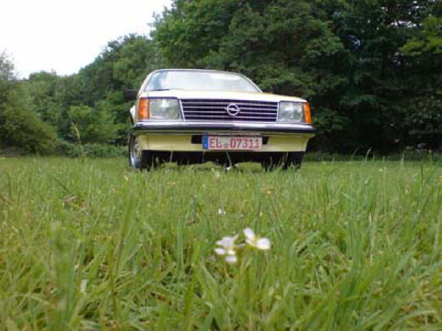 OpelCommodore07